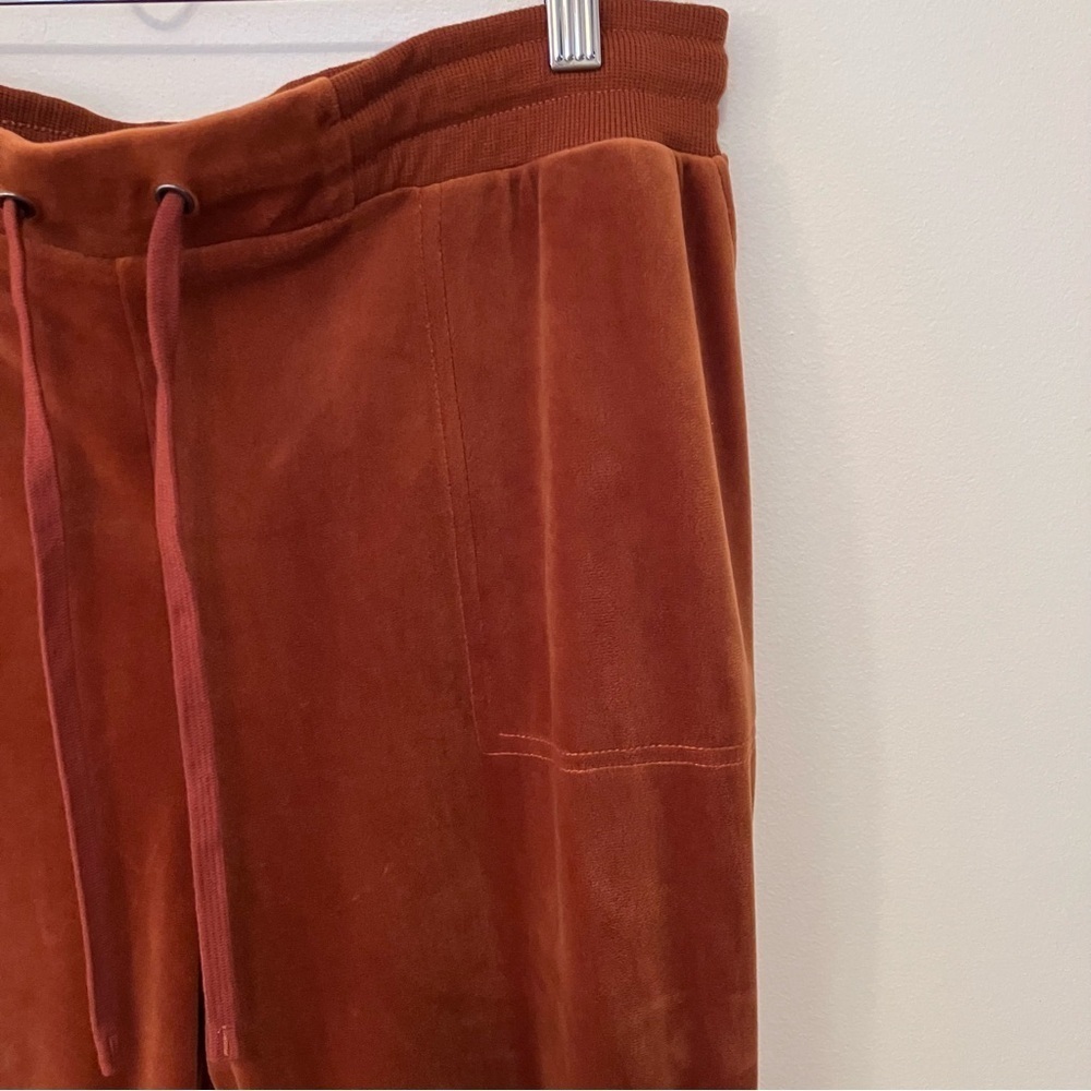 Jane and Delancey Women’s Large Joggers Brown Velour Loungewear Goblincore - Picture 2 of 7